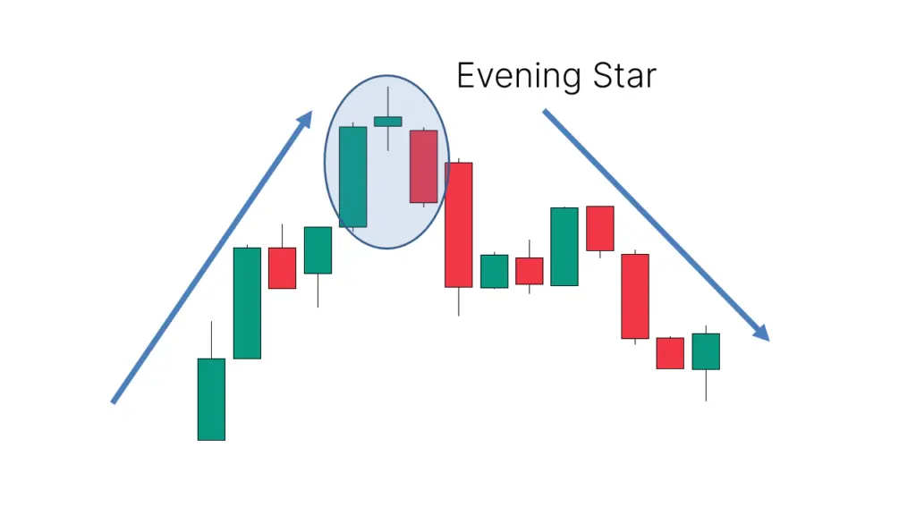 eveving star
